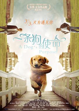 国产精品国产三级国产aⅴ无密码